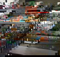 Intra Coffee - Accommodation Burleigh