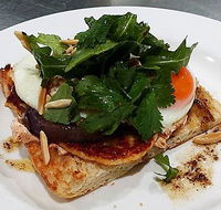 The Teal Turtle Cafe - Accommodation Burleigh
