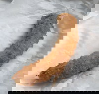 Blue Ocean - Accommodation Burleigh