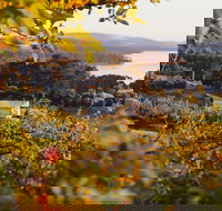 The Woodbridge Smokehouse - Accommodation Burleigh