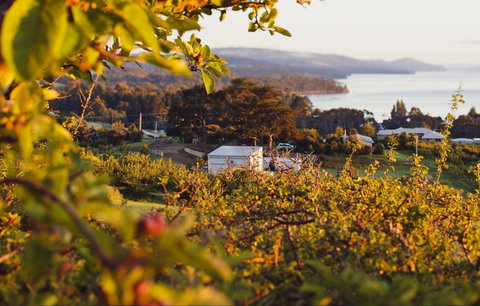 The Woodbridge Smokehouse - Accommodation Burleigh 0