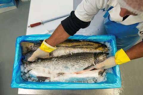 The Woodbridge Smokehouse - Accommodation Burleigh 1