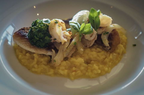 The Cowrie - Accommodation Burleigh 0