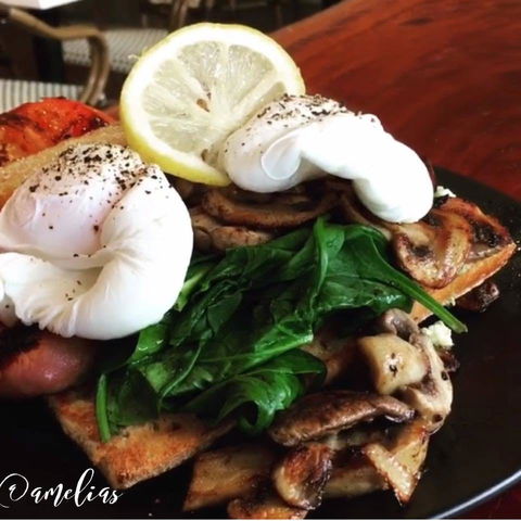 Amelia's Bakery - Accommodation Burleigh 0