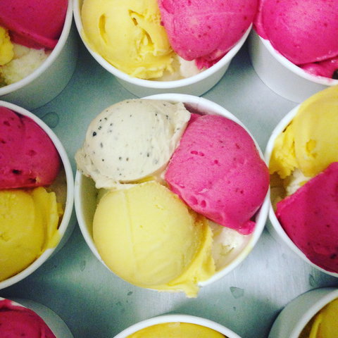 Daintree Ice Cream Company - Accommodation Burleigh 2