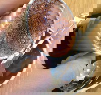 Gordon's Cafe - Accommodation Burleigh