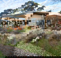 Alpine Larder Cafe - Accommodation Burleigh