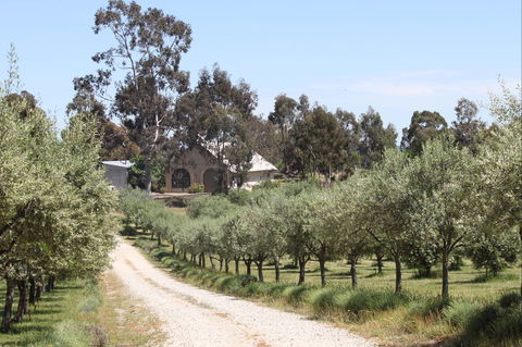 L'Oliveraie Olive Grove - Accommodation Burleigh 0