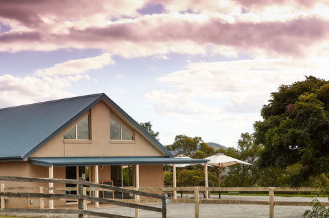 St Ronan's Cider - Accommodation Burleigh 1