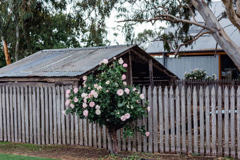 Penny's Hill Winery - Accommodation Burleigh 2