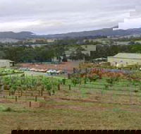 Villa d Esta Vineyard - Accommodation Burleigh