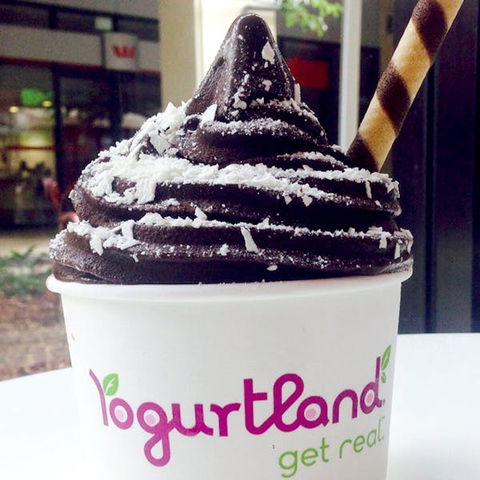 Yogurtland - Prairiewood - Accommodation Burleigh 0