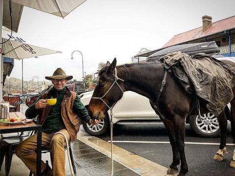 The Coffee Pedaler - Accommodation Burleigh 1