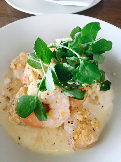 Forage Food Store - Accommodation Burleigh 0