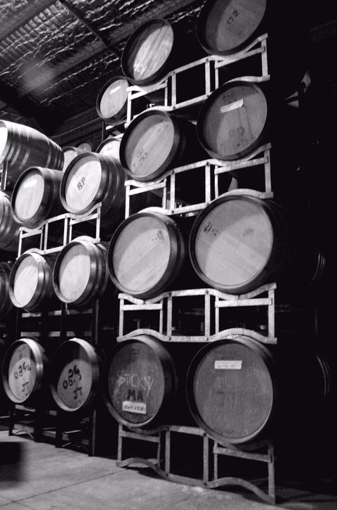 Tertini Wines - Accommodation Burleigh 1