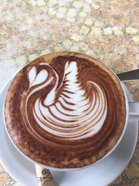 Cafe Del' Art - Accommodation Burleigh 3