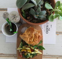 Cafe Silo - Accommodation Burleigh