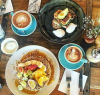 Blackbird  Co - Accommodation Burleigh