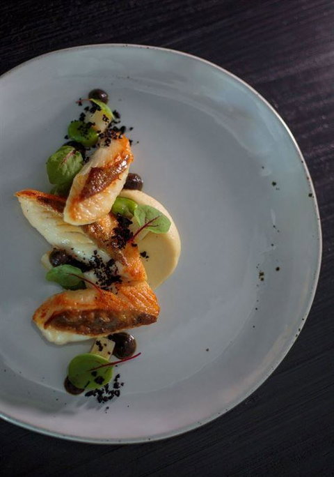 Allium Restaurant & Bar - Accommodation Burleigh 7