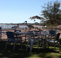 Darwin Ski Club - Little Miss Chef - Accommodation Burleigh