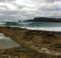 Bruny Island Berry Farm - Accommodation Burleigh