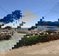 Penguin  Pardalote Coffee House - Accommodation Burleigh