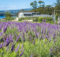 Port Arthur Lavender - Accommodation Burleigh