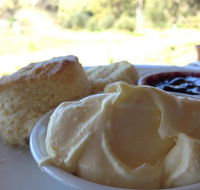 Tanglefoot Winery Cafe - Accommodation Burleigh