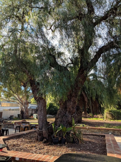 Dell'uva Wines - Accommodation Burleigh 4