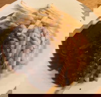 Mount Pleasant Hotel Motel - Accommodation Burleigh