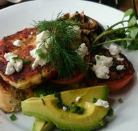 Green Turtle Cafe  Bar - Accommodation Burleigh