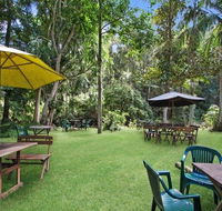 Rainforest - Accommodation Burleigh