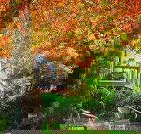 The Woods Ravensbourne - Accommodation Burleigh