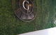 The G Spot Cafe - thumb 0