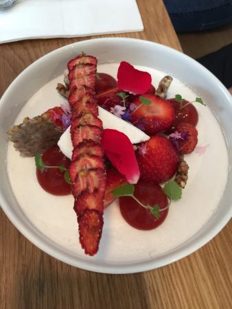 Mammoth - Accommodation Burleigh 0