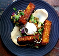 Mr Foxx - Accommodation Burleigh