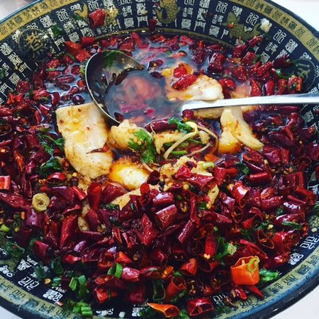 Red Chilli Sichuan Burwood - Accommodation Burleigh 0