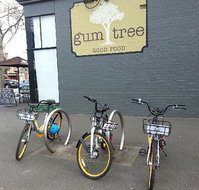 Gum Tree Good Food - Accommodation Burleigh