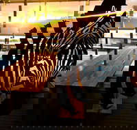 Zebra Bar Bistro - Accommodation Burleigh