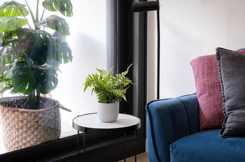 Urban Rest-Home Richmond - Accommodation Burleigh 13