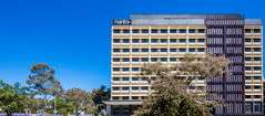 Mantra MacArthur Hotel - Accommodation Burleigh 0