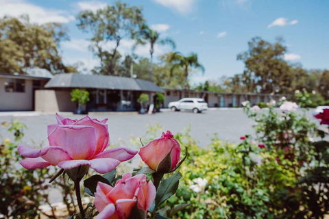 Artesian Spa Motor Inn - Accommodation Burleigh 2