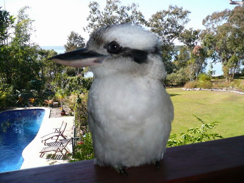 Yarrandabbi Dreaming Boutique B&B - Accommodation Burleigh 2