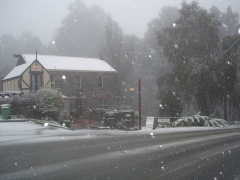 Adeline Bed & Breakfast - Accommodation Burleigh 1