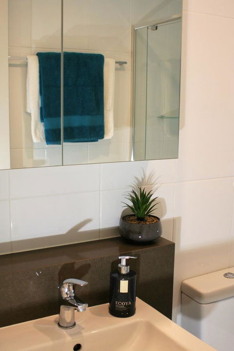 Modern Executive Apt@Barton*1BR*WiFi*Gym*Secure Parking*Canberra - Accommodation Burleigh 13