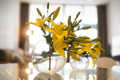 KUI - Manhattan Apartments - Accommodation Burleigh 0