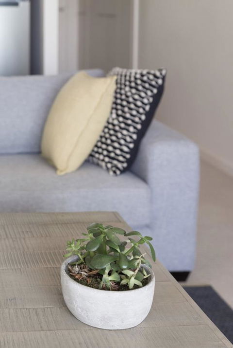 Port Adelaide Executive Waterfront Apartment - Accommodation Burleigh 18
