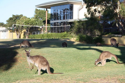 BreakFree Wirrina Cove - Accommodation Burleigh 28