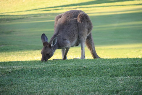 BreakFree Wirrina Cove - Accommodation Burleigh 24