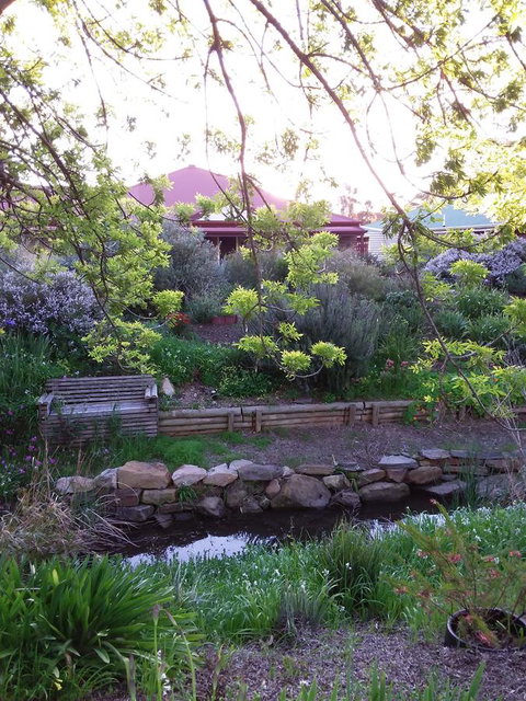 Frog Song At Willunga - Accommodation Burleigh 0